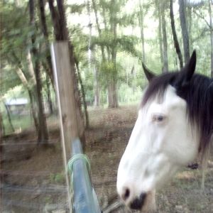 Meet your Posher, Janet